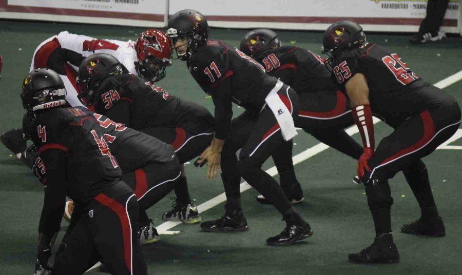 Orlando Predators quarterback Jason Boltus threw for four touchdowns and ran in another two in Sundays win over the Sharks.