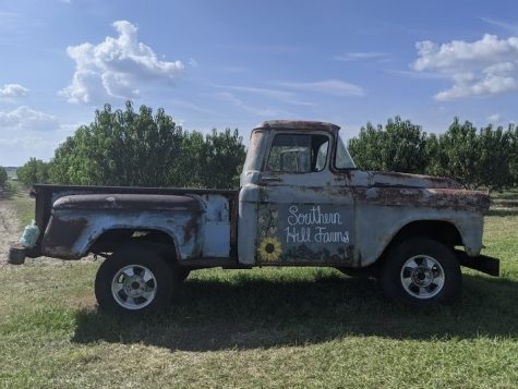  Southern Hill Farms’ truck is one of the favorite photo spots for guests.