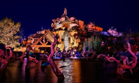 Disney Announces New Attractions Coming To WDW Resort At D23 Expo
