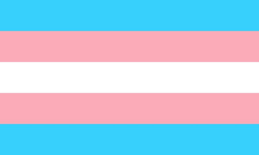 The Transgender Flag is denoted by a central white line, two pink and two light blue leading in both directions.