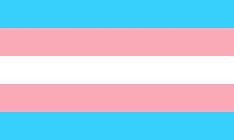 The Transgender Flag is denoted by a central white line, two pink and two light blue leading in both directions.