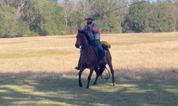 A horse and rider demonstrate cracking a whip at the Ed Yarborough Farm during the agricultural tour. 