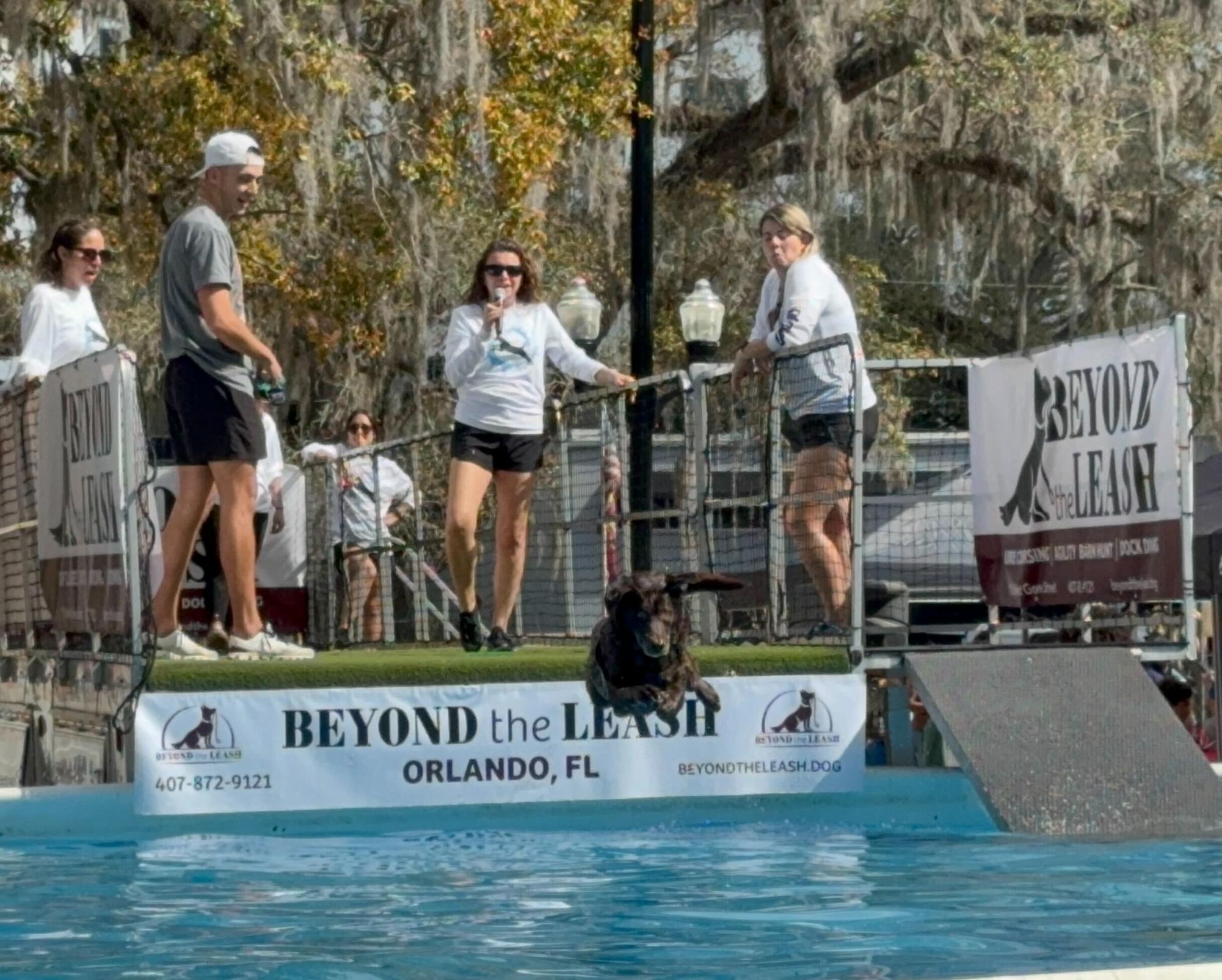 An enthusiastic dog dives for a toy in the Beyond the Leashs mobile dock on Saturday, February 10. 