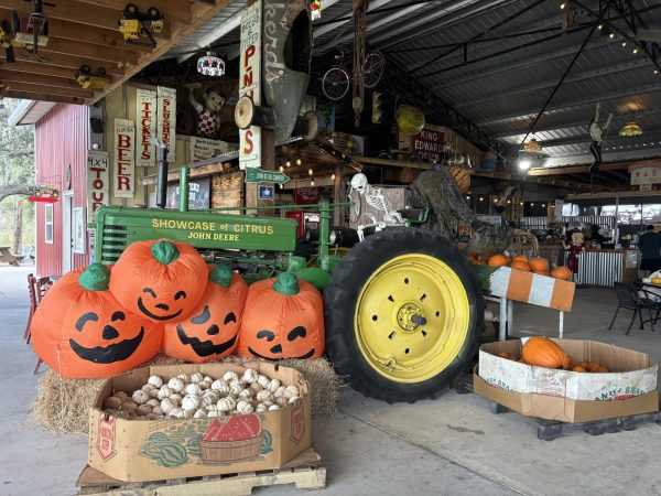 Navigation to Story: Showcase of Citrus: Pumpkins, Scarecrows and Haunts, Oh My!